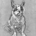 'Bouboule', the bulldog of Madame Palmyre at La Souris